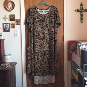 Lularoe Carly Dress 🍓
